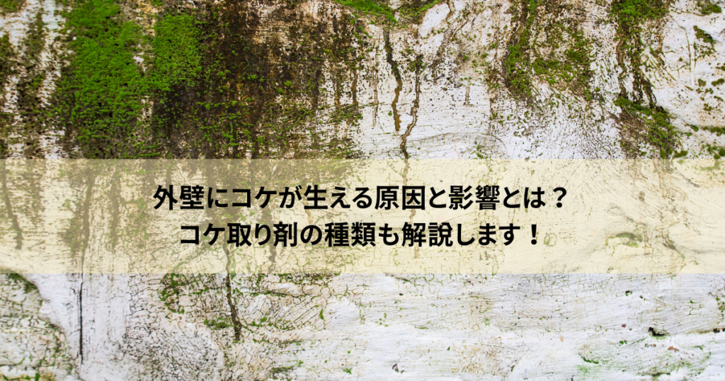 外壁にコケが生える原因と影響とは？コケ取り剤の種類も解説します！