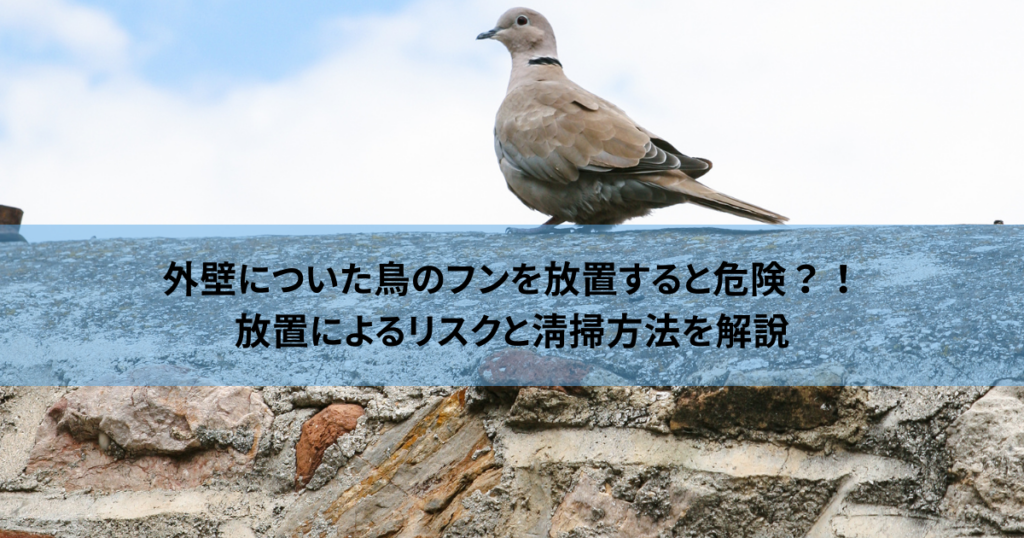 外壁についた鳥のフンを放置すると危険？！放置によるリスクと清掃方法を解説