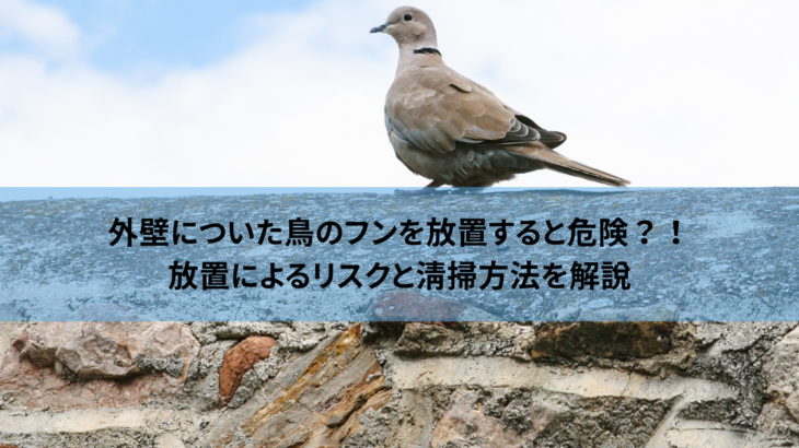 外壁についた鳥のフンを放置すると危険？！放置によるリスクと清掃方法を解説