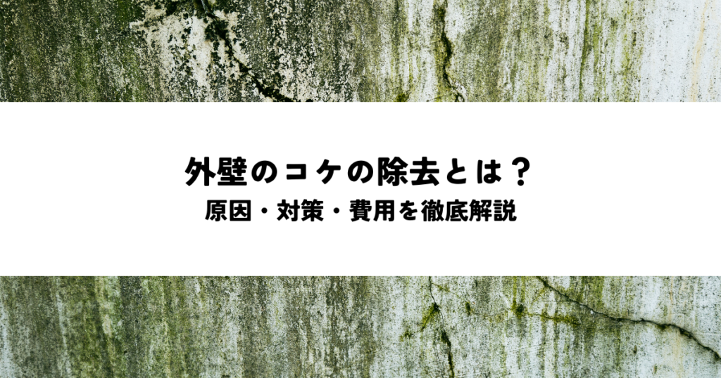 外壁のコケの除去とは？原因・対策・費用を徹底解説
