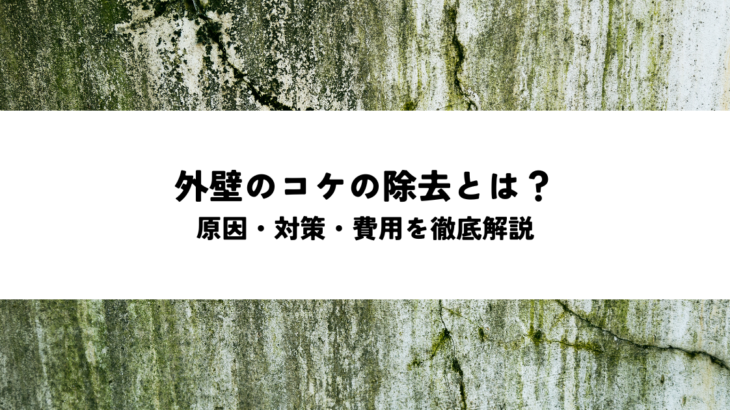 外壁のコケの除去とは？原因・対策・費用を徹底解説